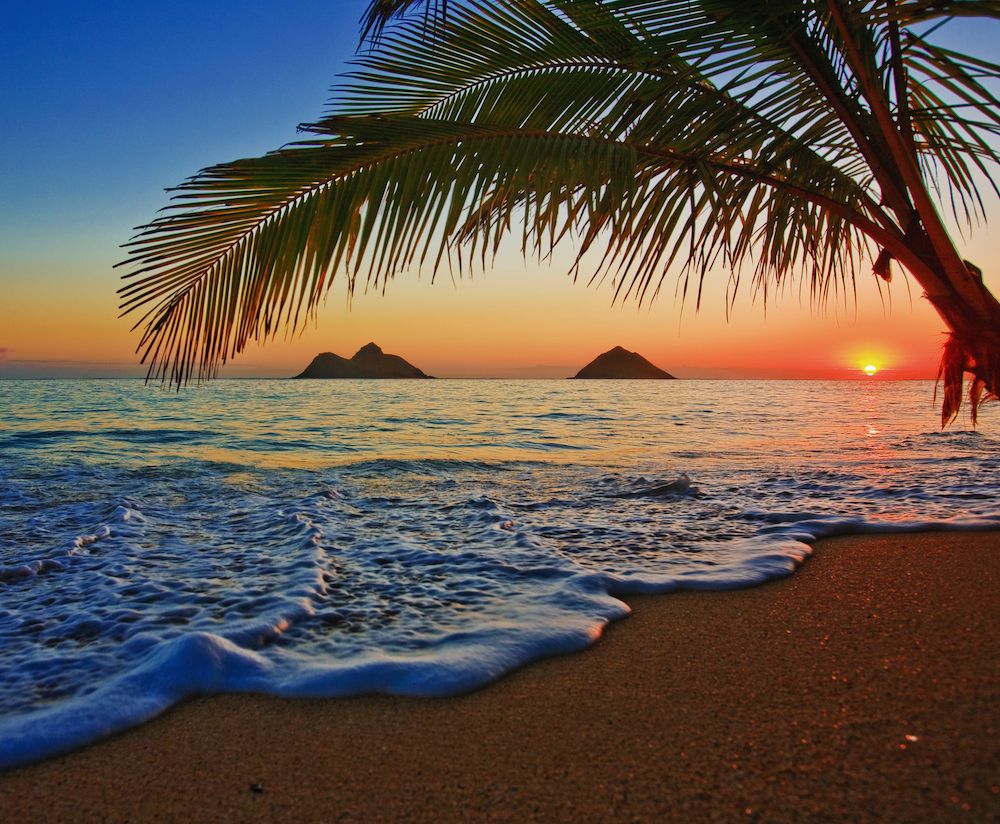 The Gossip Column: January 14, 2022